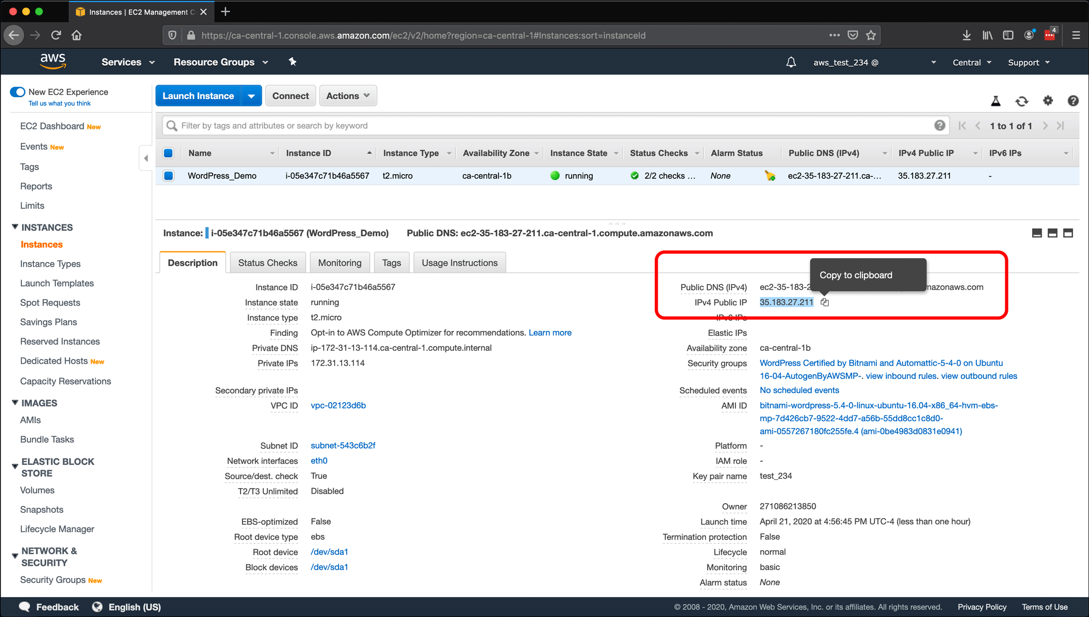 Screenshot: AWS EC2 instance, Elastic IPs, Route 53 DNS management, and restarting or shutting down the instance.