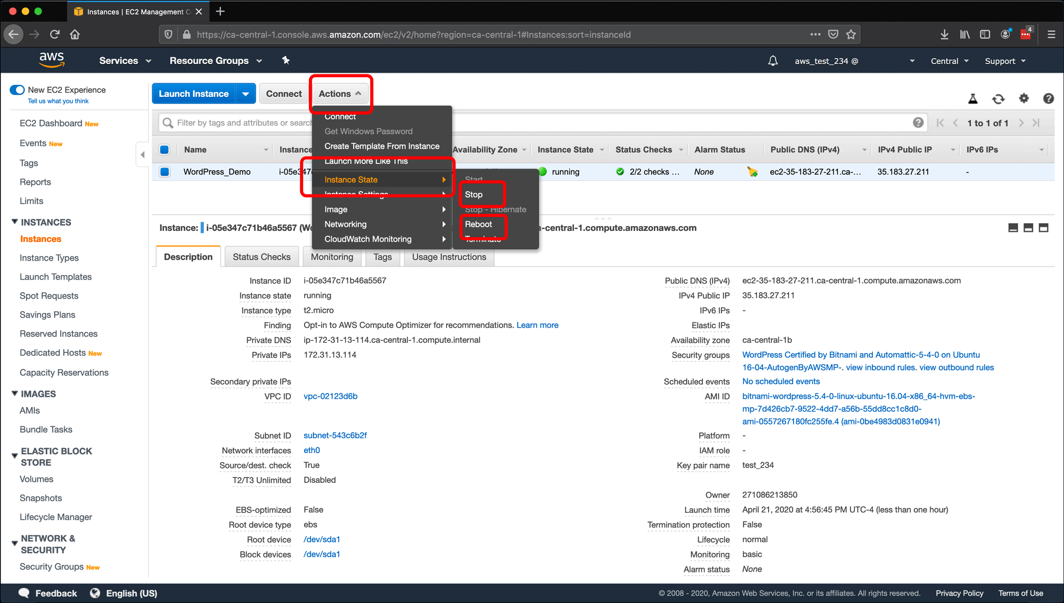 Screenshot: AWS EC2 instance, Elastic IPs, Route 53 DNS management, and restarting or shutting down the instance.