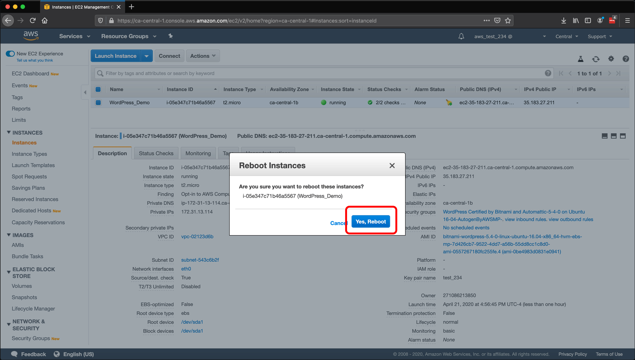 Screenshot: AWS EC2 instance, Elastic IPs, Route 53 DNS management, and restarting or shutting down the instance.