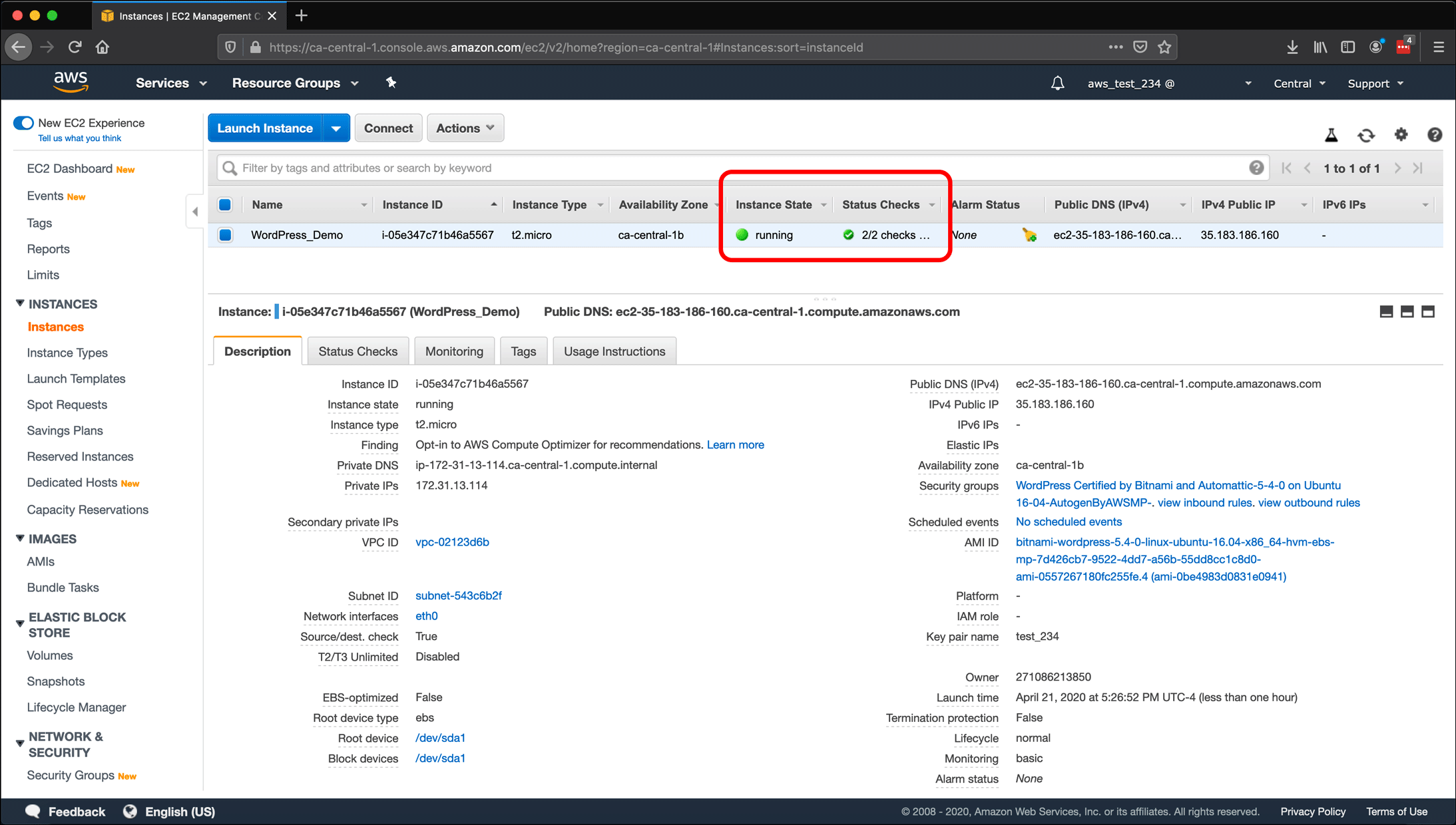 Screenshot: AWS EC2 instance, Elastic IPs, Route 53 DNS management, and restarting or shutting down the instance.