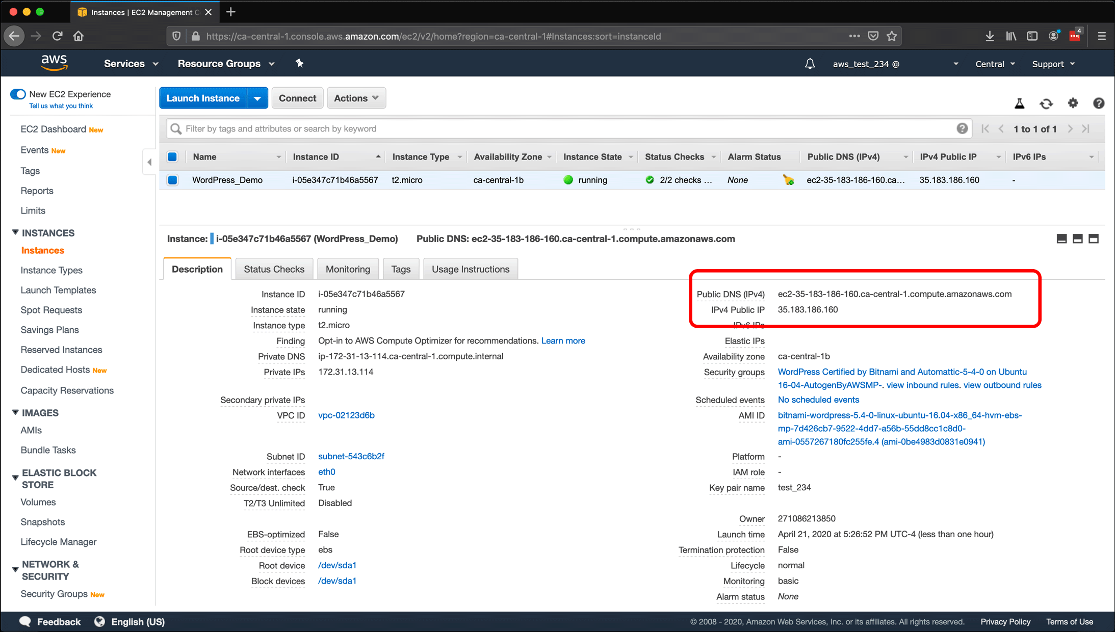 Screenshot: AWS EC2 instance, Elastic IPs, Route 53 DNS management, and restarting or shutting down the instance.