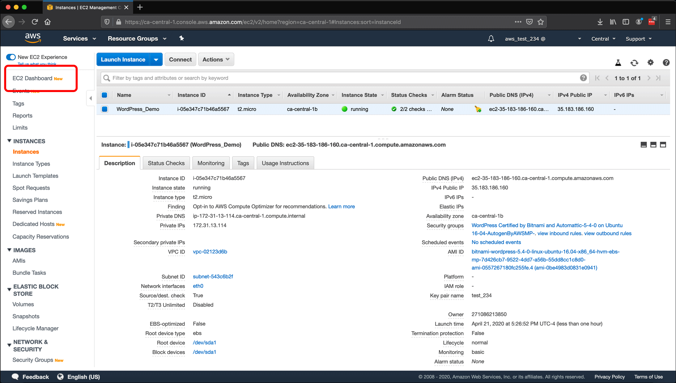 Screenshot: AWS EC2 instance, Elastic IPs, Route 53 DNS management, and restarting or shutting down the instance.