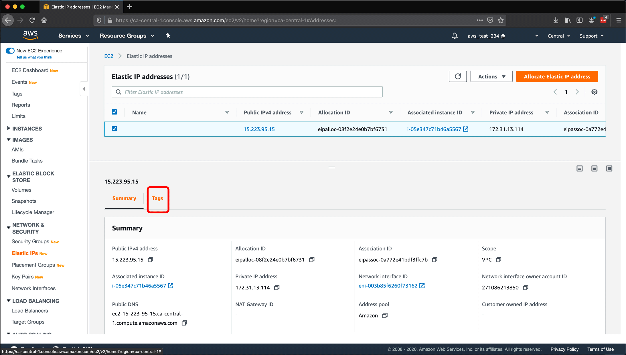 Screenshot: AWS EC2 instance, Elastic IPs, Route 53 DNS management, and restarting or shutting down the instance.