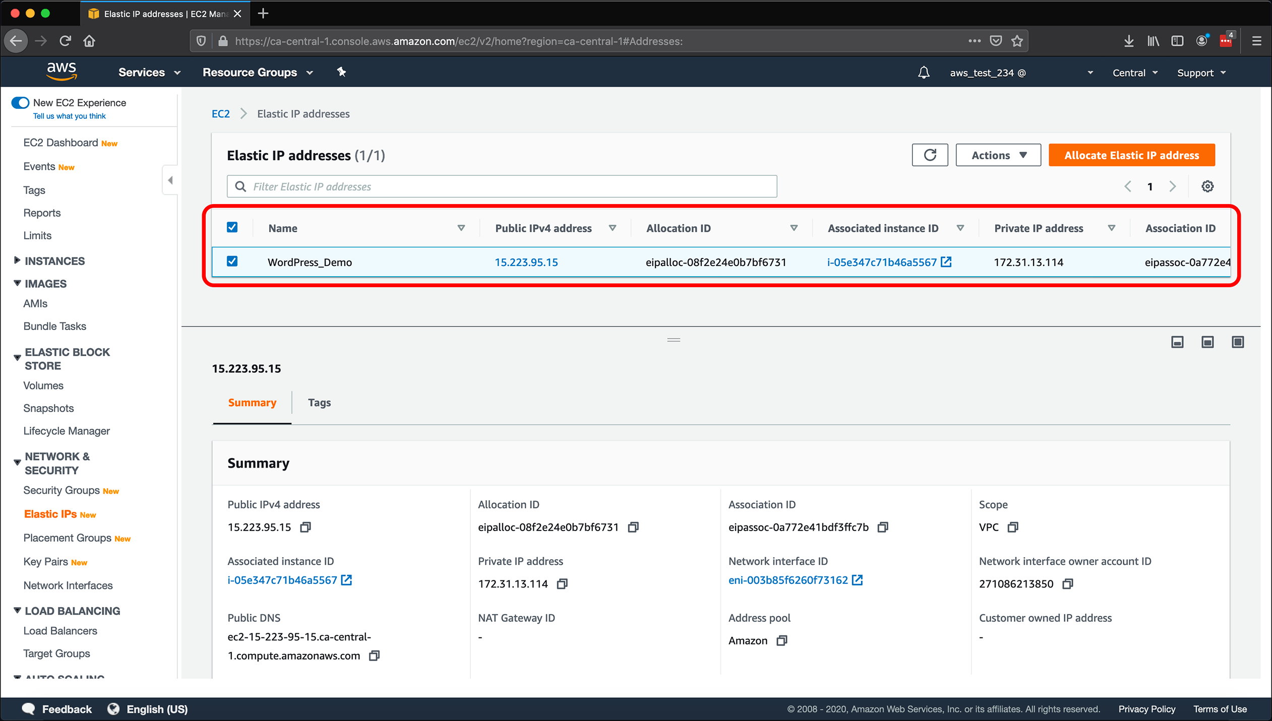 Screenshot: AWS EC2 instance, Elastic IPs, Route 53 DNS management, and restarting or shutting down the instance.