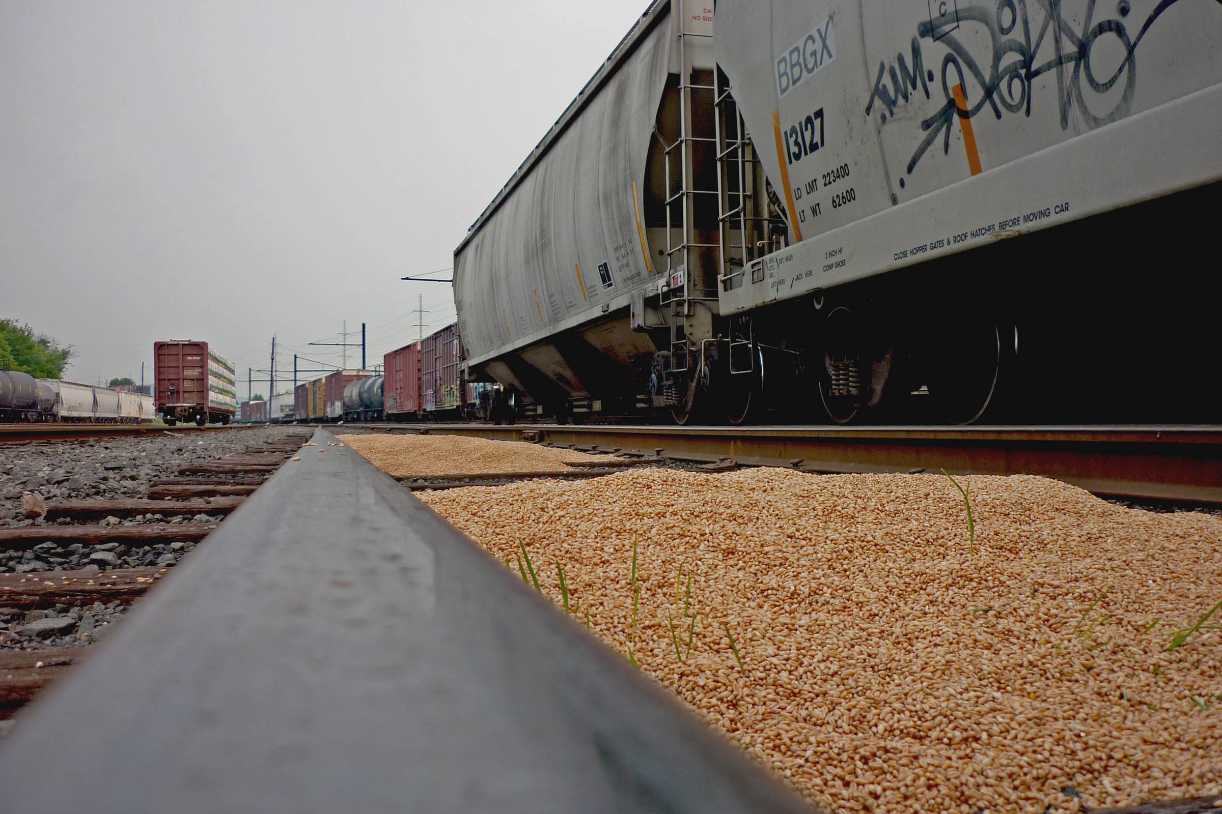 Close-up of a pile of grain that has leaked from a rail car, USA, 2010.