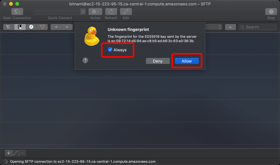 Screenshot displaying connecting to an AWS EC2 instance using Cyberduck FTP client.